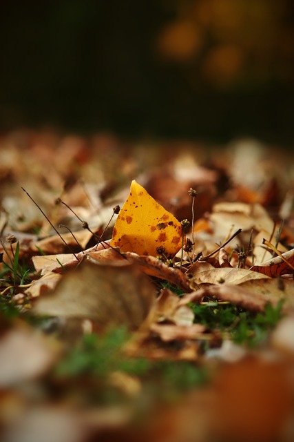 市场评价高 市场评价高
